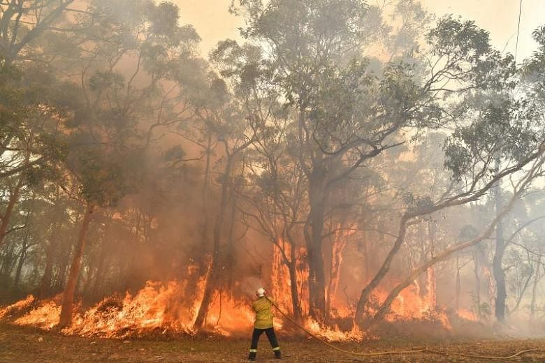 Kabut asap kebakaran semak Sydney yang beracun adalah ‘darurat kesehatan masyarakat’, kata kelompok medis Australia